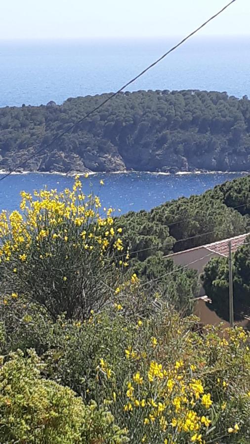 Residence La Calle Isola D'Elba Exteriér fotografie