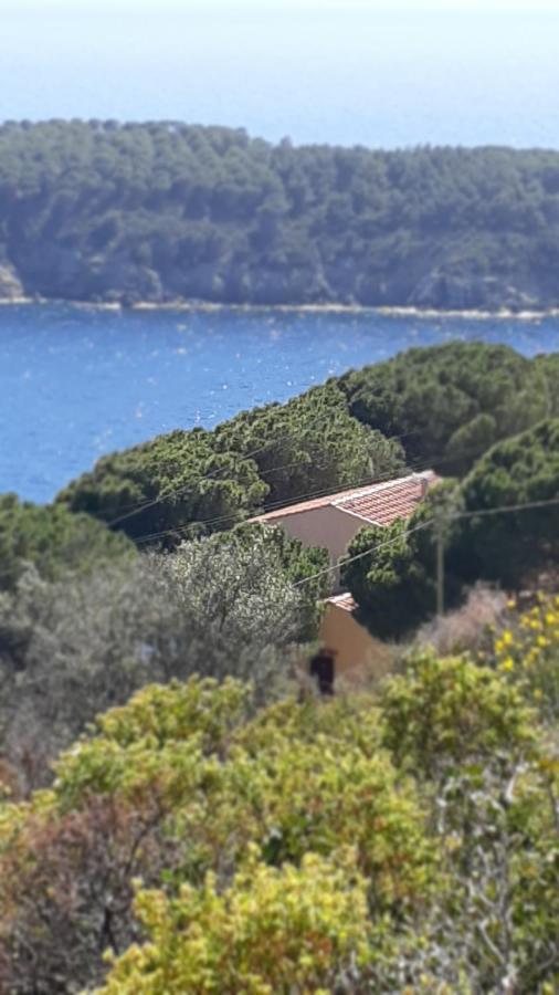 Residence La Calle Isola D'Elba Exteriér fotografie